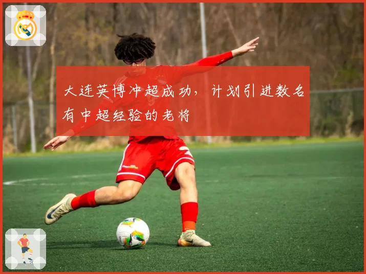 大连英博冲超成功，计划引进数名有中超经验的老将