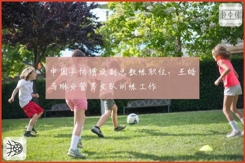 中国乒协增设副总教练职位，王皓马琳分管男女队训练工作