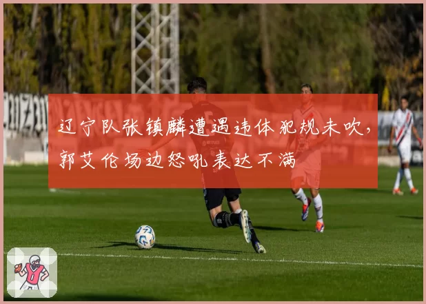 辽宁队张镇麟遭遇违体犯规未吹，郭艾伦场边怒吼表达不满