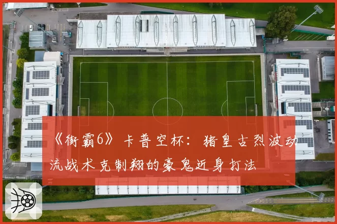 《街霸6》卡普空杯：猪皇古烈波动流战术克制翔的豪鬼近身打法