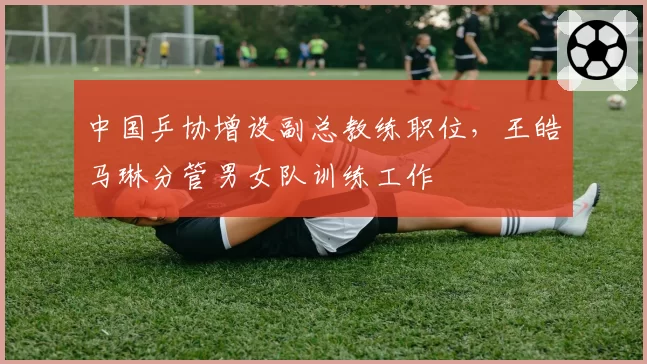 中国乒协增设副总教练职位，王皓马琳分管男女队训练工作