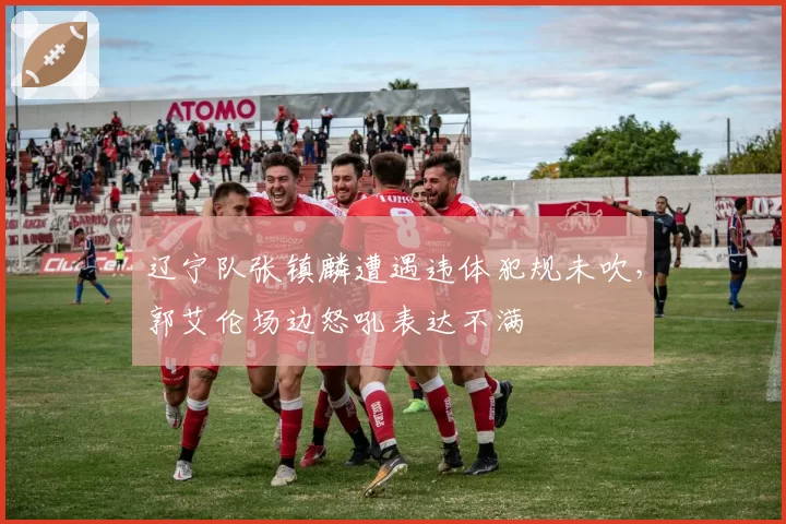 辽宁队张镇麟遭遇违体犯规未吹，郭艾伦场边怒吼表达不满
